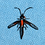 hurzl